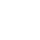 Circle Icon